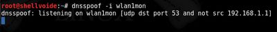 dnsspoof